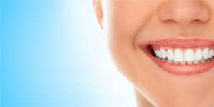 Create websites for Dentist